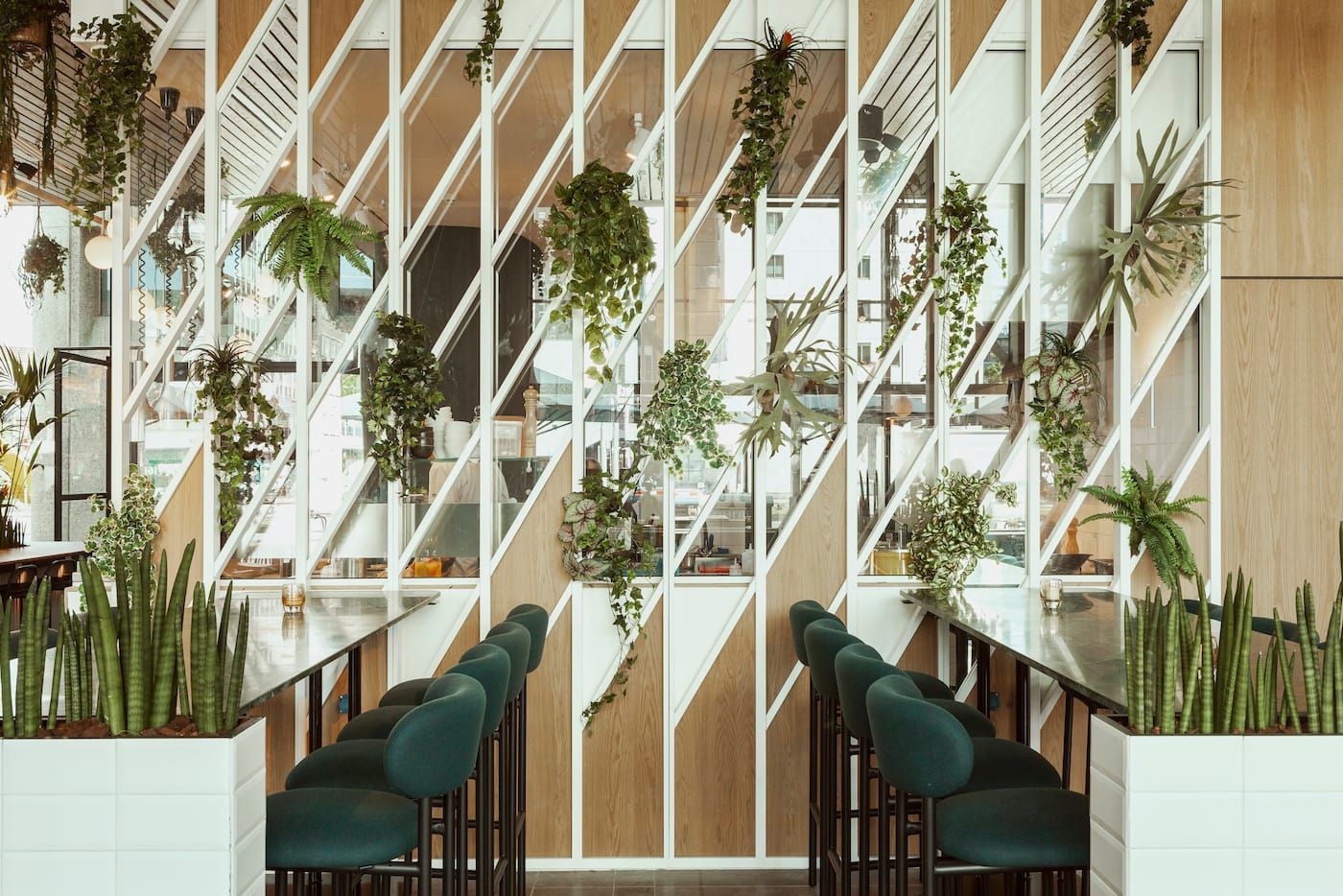 White diagonal lattice screen hung with plants above green velvet stools at Fontein