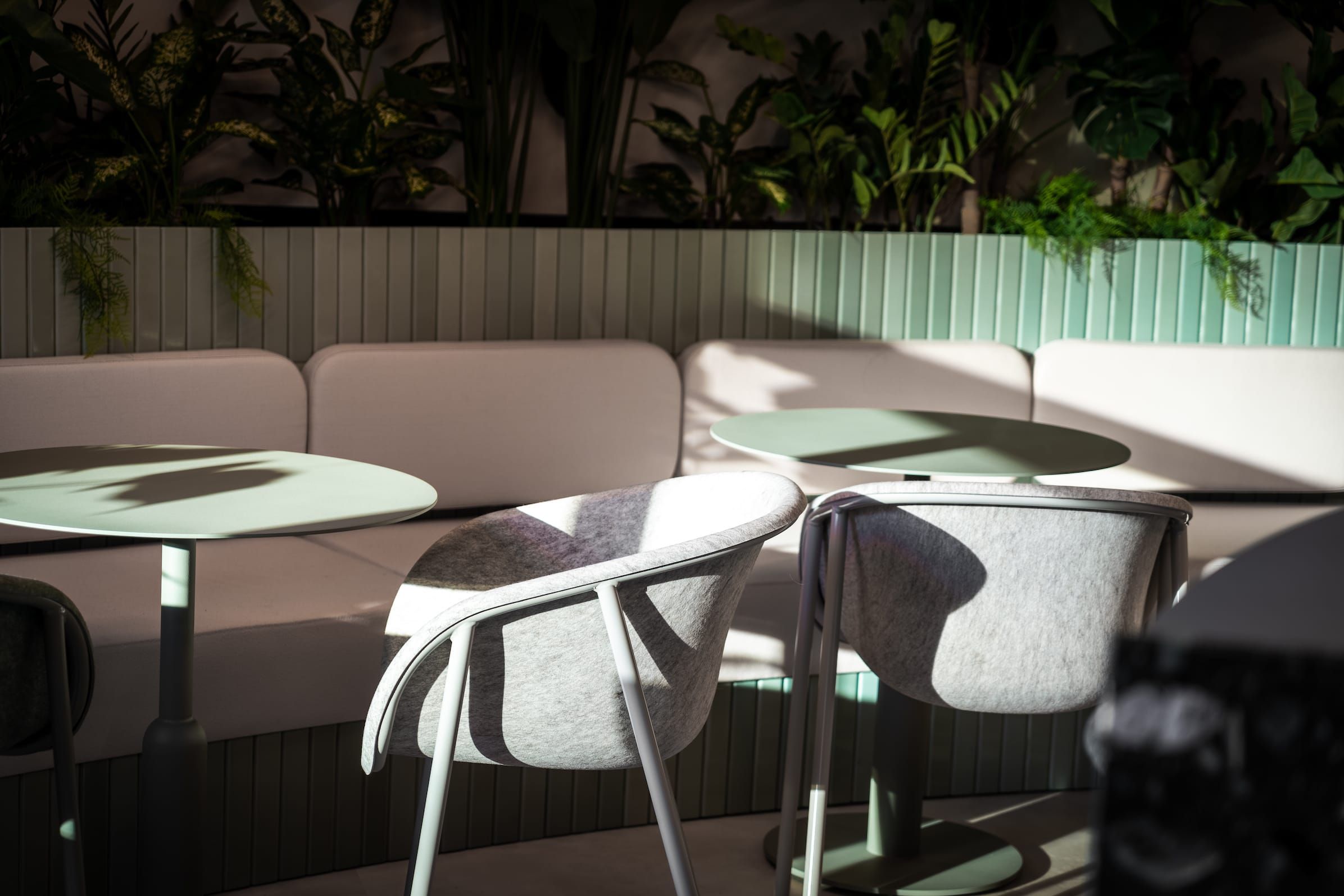 Felt chairs and round tables in sunlight in front of a planted banquette