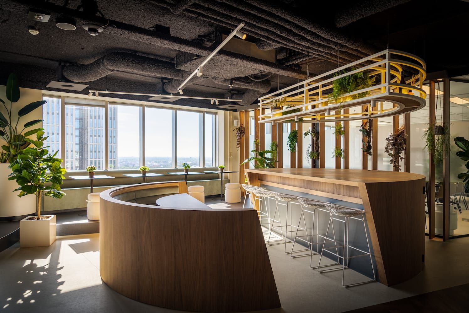 Curved wooden bar with white wire stools and a hanging planter in the Workspot office