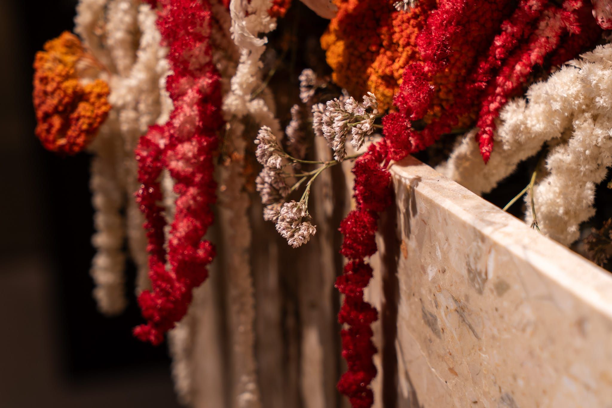 Close-up of red and orange dried flowers hanging over a terrazzo plinth