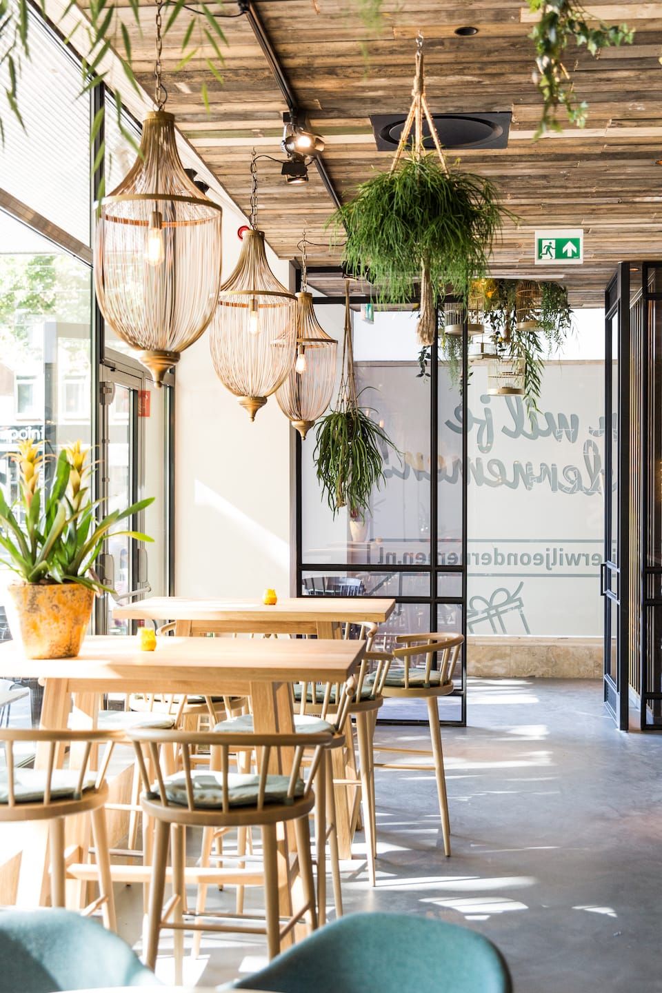 Rattan pendant lights, hanging plants and high tables in daylight