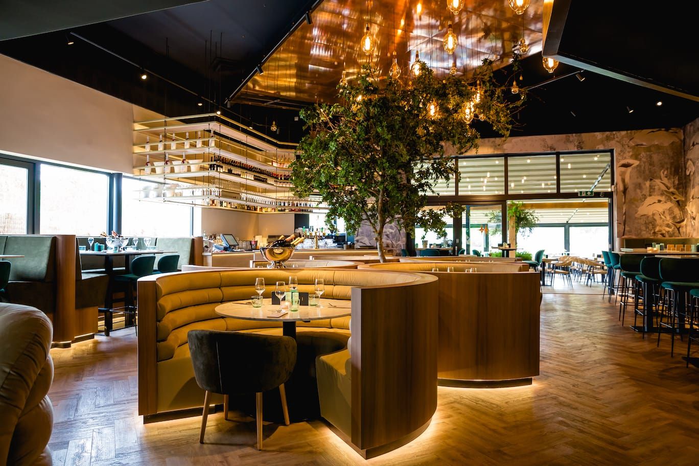Round booths, indoor tree and glowing copper ceiling in the main room at Finca
