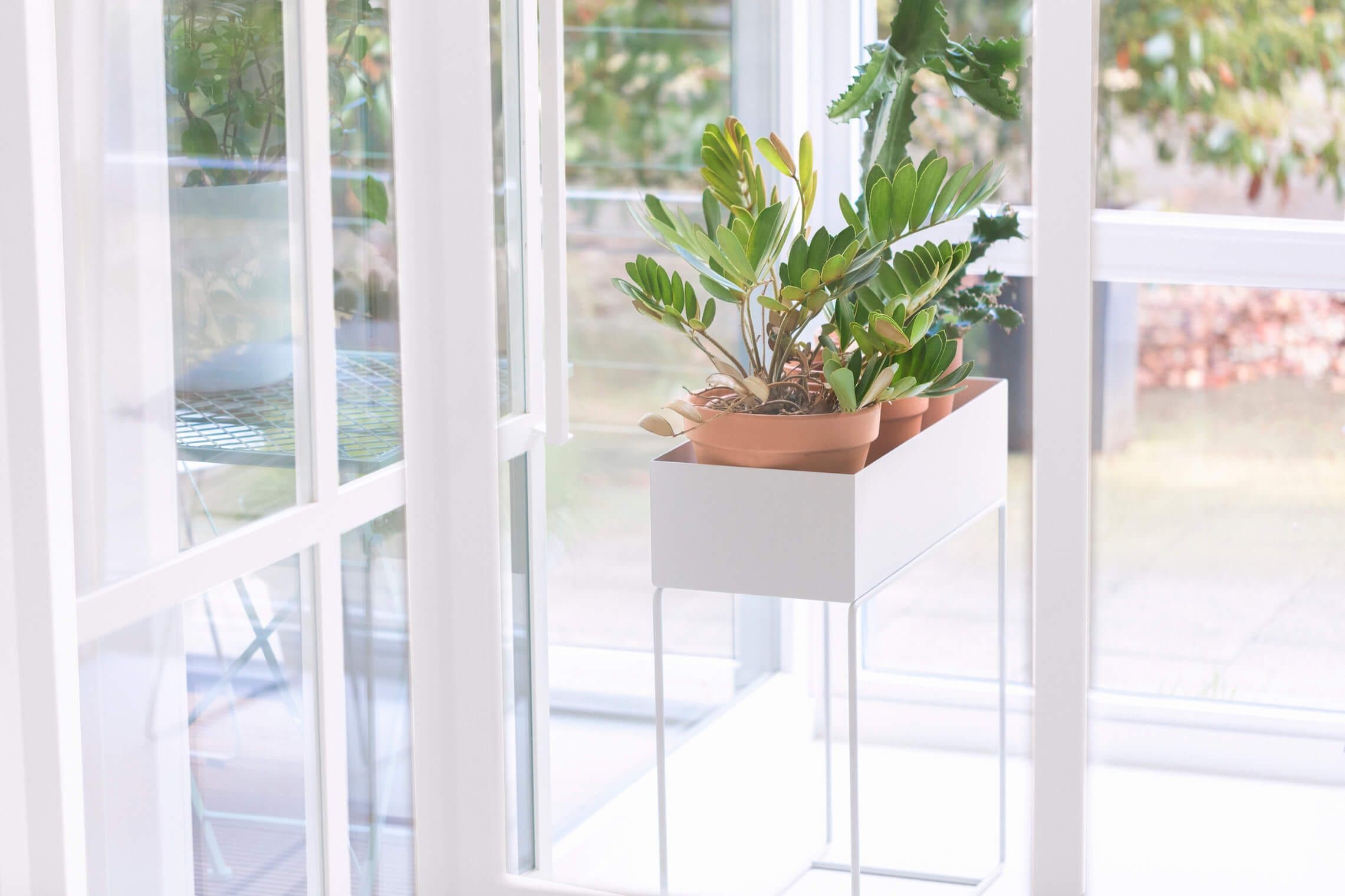 Terracotta pot with plants on a white stand by a glazed door