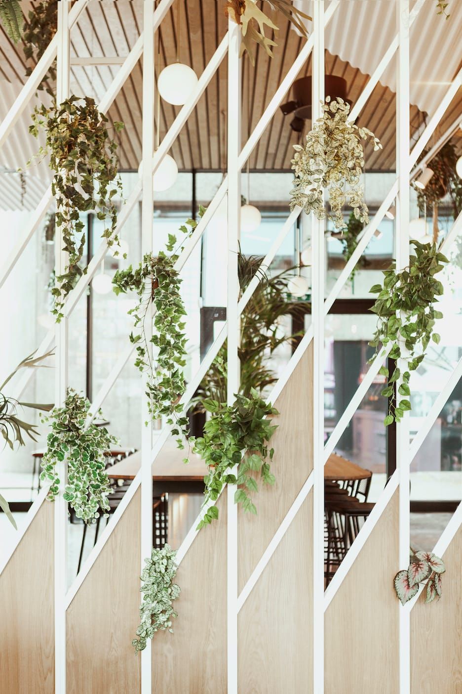 Hanging plants on a white lattice partition with timber panels at Fontein