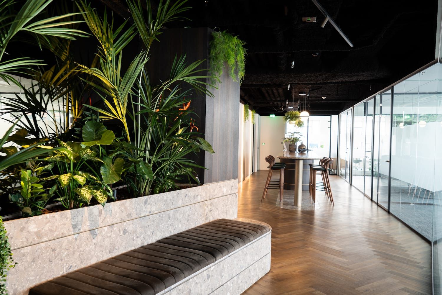 Planter with palms on a terrazzo bench, herringbone floor and glass partitions