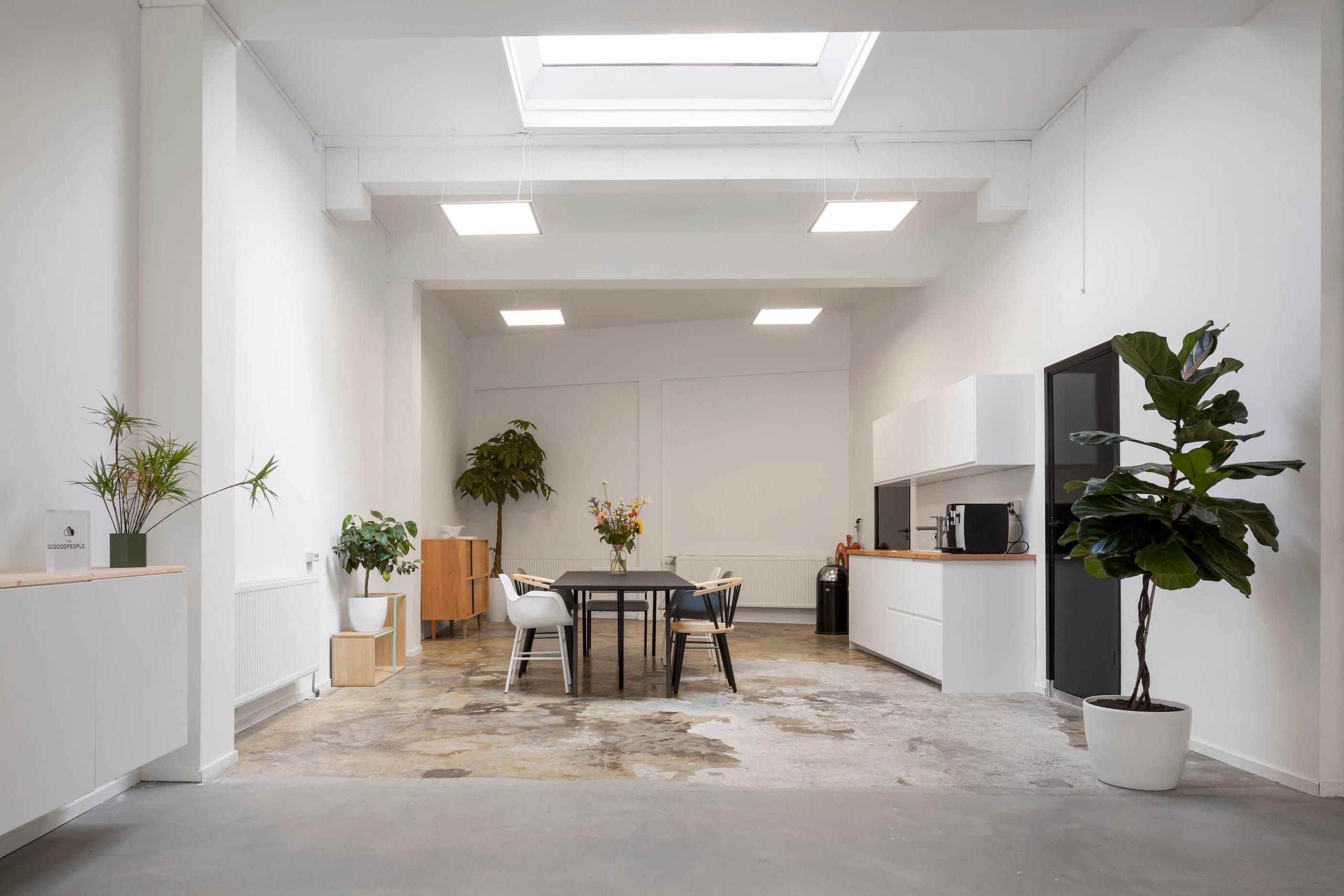 Bright back room with kitchen, dining table, fiddle leaf fig and skylight