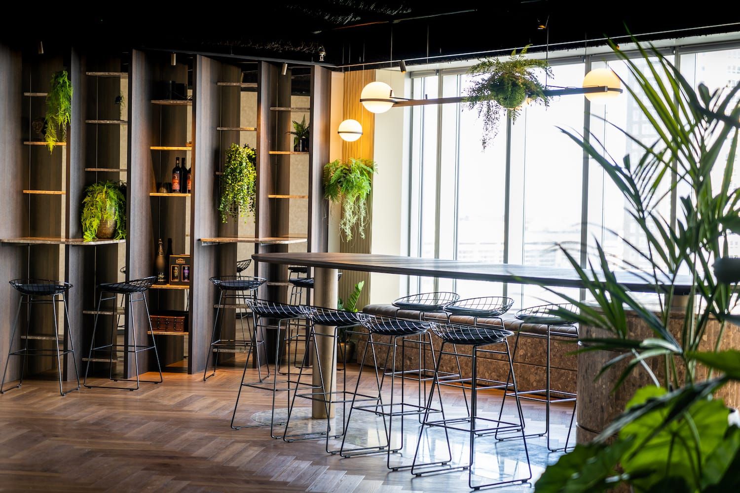 Wire bar stools at a long counter by tall windows with plant-filled dark shelving