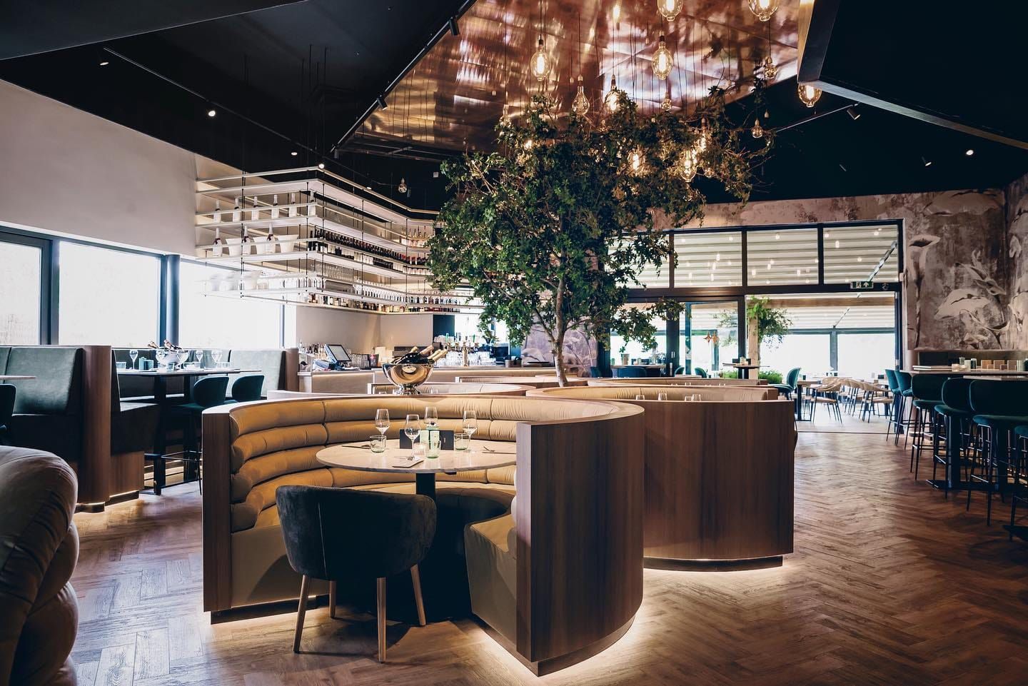 Round banquette booth under a tree and copper ceiling at Finca